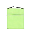 REACH non woven insulated cooler bag